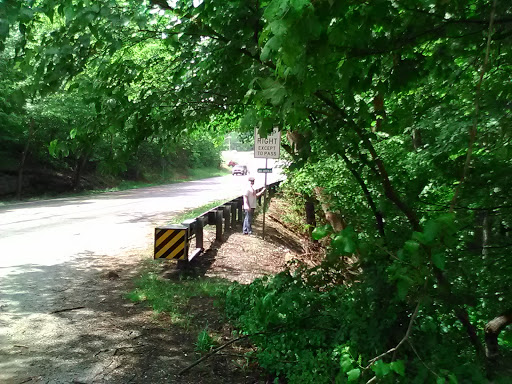 Nature Preserve «Jug Rock Nature Preserve», reviews and photos, Albright Ln, Shoals, IN 47581, USA