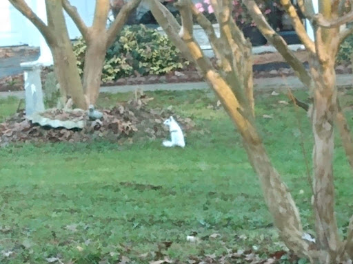 Internet Service Provider «Time Warner Cable», reviews and photos, 1515 N Pointe Dr, Durham, NC 27705, USA