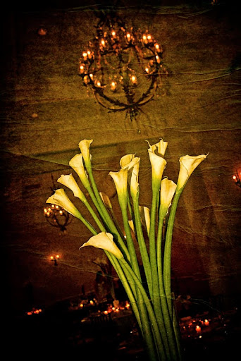 Wedding Planner «Shay Brown Events - The Southern Wedding Experience», reviews and photos, 80 Broadway, Asheville, NC 28801, USA