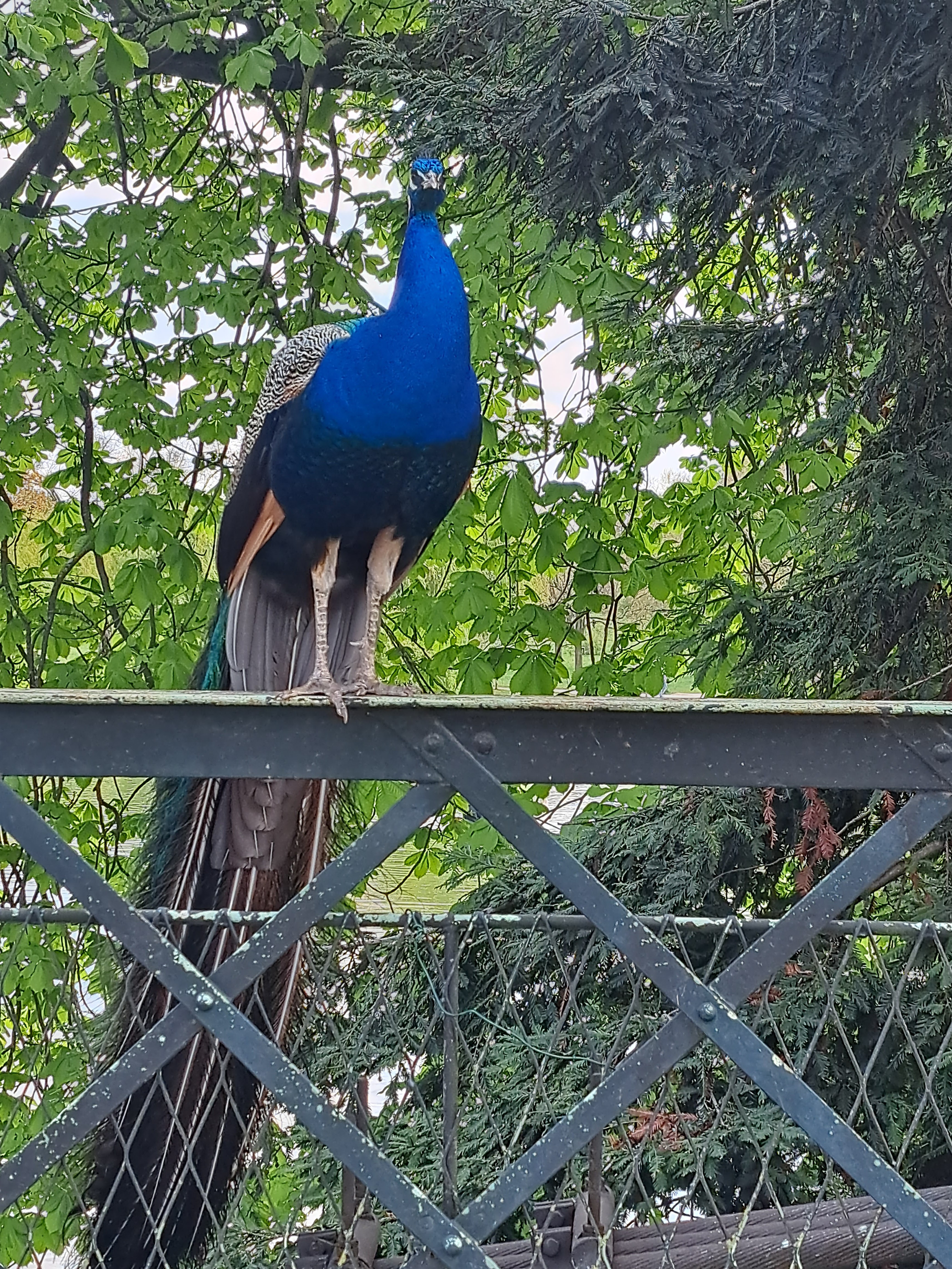 Photo n° 6 de l'avis de Charlotte.a fait le 20/04/2023 à 21:24