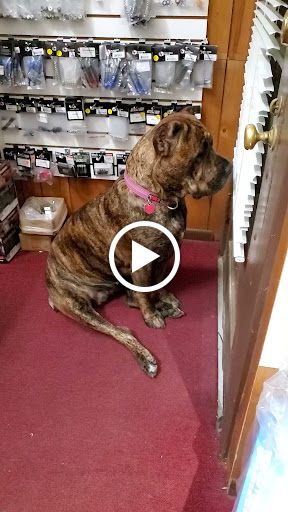 Hobby Store «The Hobbies Shop», reviews and photos, 226 W Washington St, Charles Town, WV 25414, USA