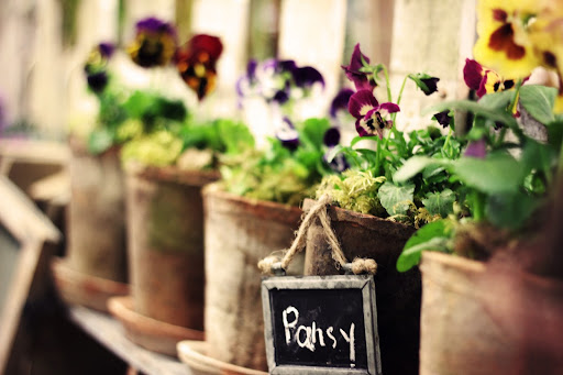 Plant Nursery «Pine Creek Nursery», reviews and photos, 23225 Sofie Rd, Monroe, WA 98272, USA