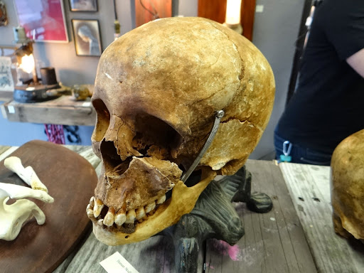 Art Gallery «Dysfunctional Grace Art Co», reviews and photos, 1903 E 7th Ave, Tampa, FL 33605, USA