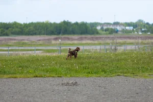 Isaac's Run Dog Park image