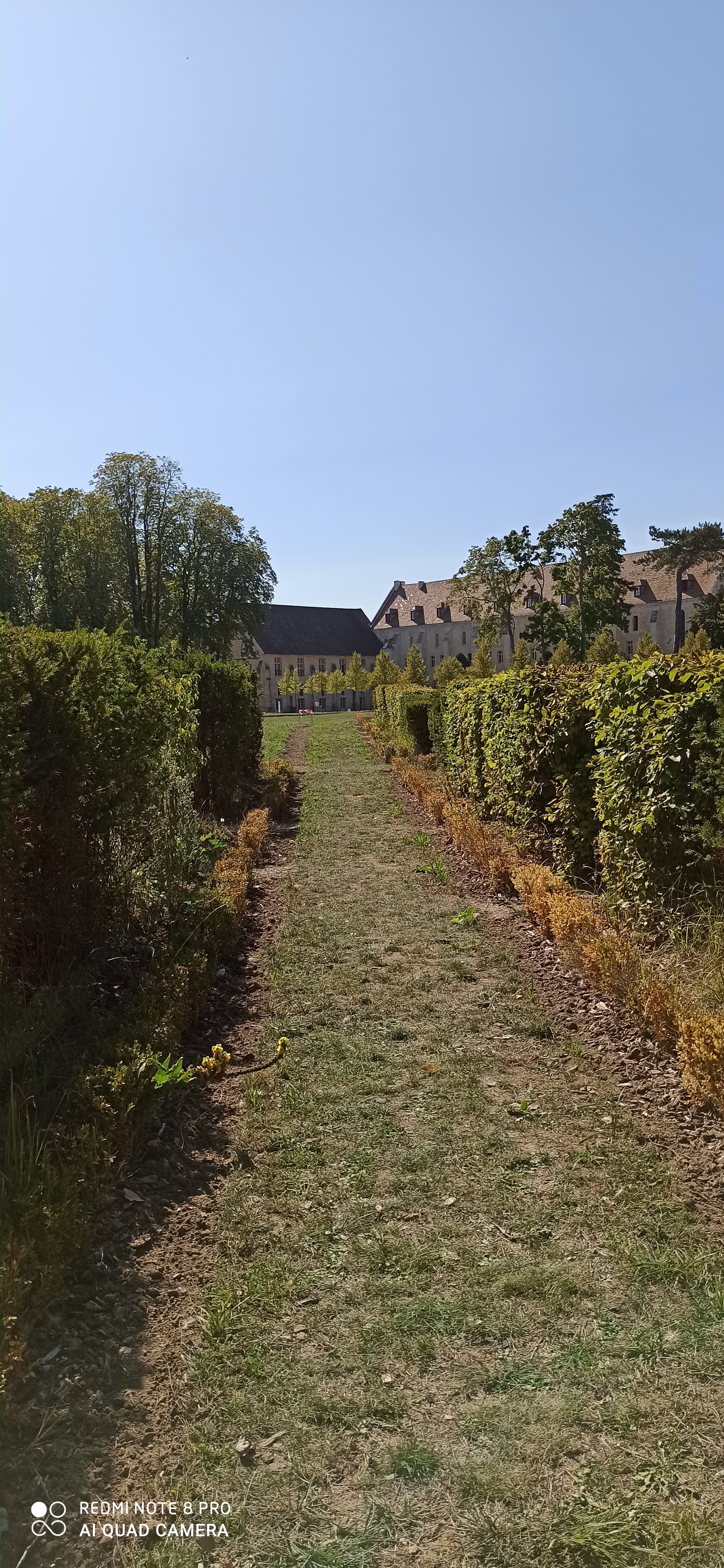 Photo n° 1 de l'avis de clarisse.a fait le 14/09/2020 à 19:04