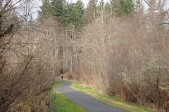 Soos Creek Trail