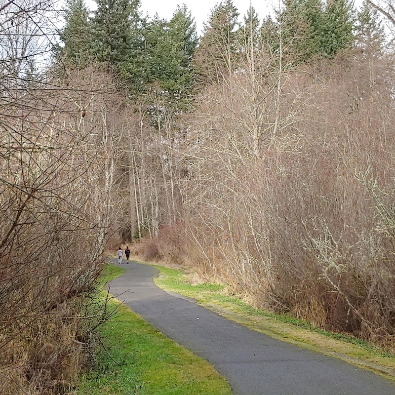 Soos Creek Trail