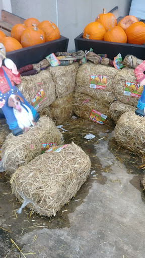 Home Improvement Store «The Home Depot», reviews and photos, 55 Granby St, Bloomfield, CT 06002, USA