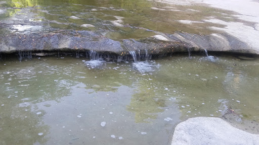 Memorial Park «Harrington Park», reviews and photos, 1815 S Cockrell Hill Rd, Duncanville, TX 75137, USA