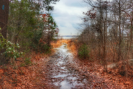 State Park «Nasketucket Bay State Reservation», reviews and photos, Brandt Island Rd,, Mattapoisett, MA 02739, USA