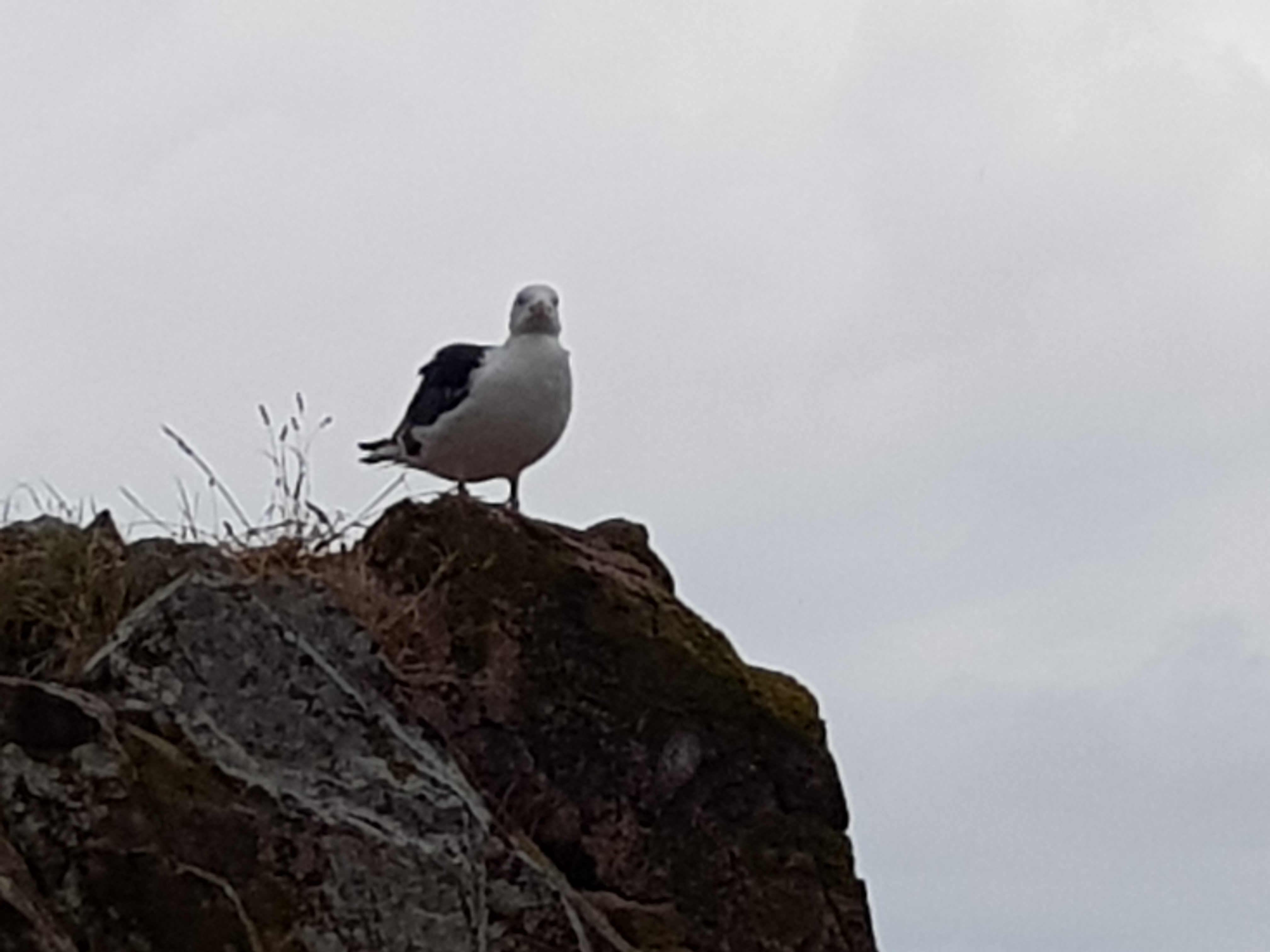 Photo n° 4 de l'avis de romain.a fait le 14/08/2018 à 21:18