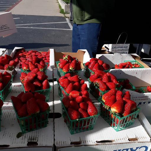 Grocery Store «Spencer Fresh Market», reviews and photos, 2650 Main St, Morro Bay, CA 93442, USA