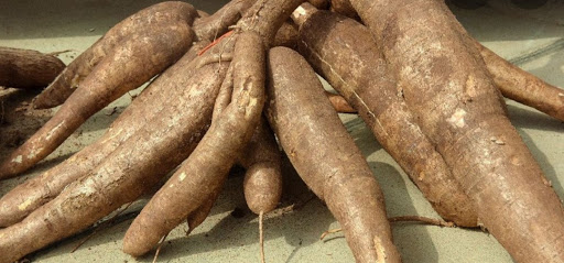 Top 3 cửa hàng bkav Huyện Tân Châu Tây Ninh 2022