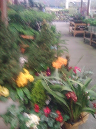 Garden Center «Sloat Garden Center», reviews and photos, 1555 Kirker Pass Rd, Concord, CA 94521, USA