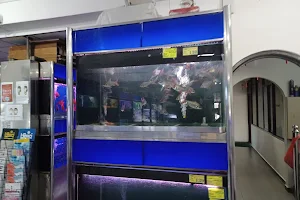Xian Leng Aquarium image