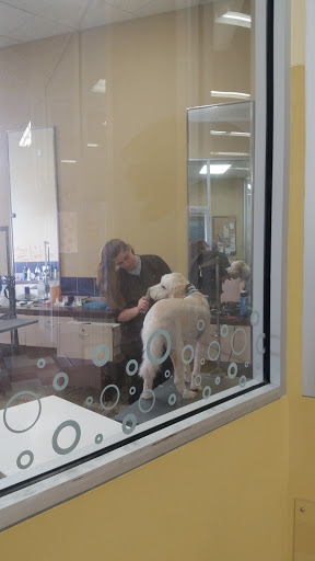 Pet Supply Store «Petco Animal Supplies», reviews and photos, 300 Quaker Ln #3, Warwick, RI 02886, USA