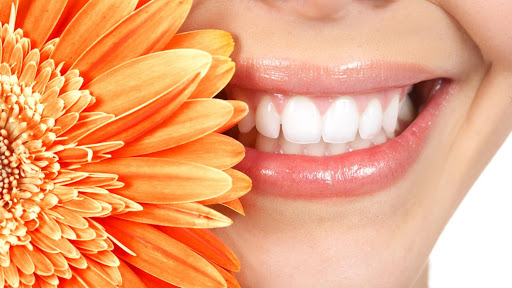 Larchmont Dental Associates Photo
