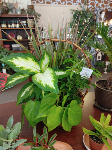 Florist «Williams Flower Shop», reviews and photos, 16 S Main St, Mt Vernon, OH 43050, USA