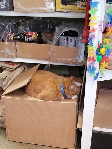 Hardware Store «Canton Ace Hardware», reviews and photos, 1022 Binney St, Baltimore, MD 21224, USA