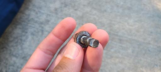 Used Car Dealer «Montrose Ford in Fairlawn», reviews and photos, 3960 Medina Rd, Fairlawn, OH 44333, USA