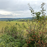 Photo n°1 de l'avis de Ina.p fait le 06/10/2019 à 12:46 sur le  Knülljause à Schwarzenborn