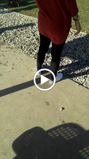 Dog Park «Irving Dog Park», reviews and photos, 4140 Valley View Ln, Irving, TX 75038, USA