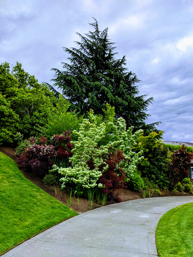 Park «Clyde Beach Park», reviews and photos, 2 92nd Ave NE, Bellevue, WA 98004, USA