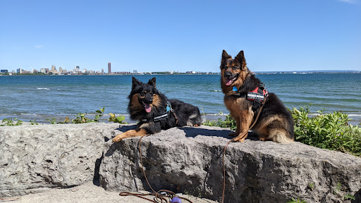 Fort Erie Animal Hospital image