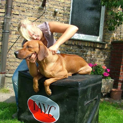Tierarztpraxis Dr. med. vet. Katharina Grewe unter Paderborn, 