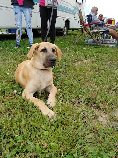 Car Racing Track «Eldora Speedway», reviews and photos, 13929 OH-118, New Weston, OH 45348, USA