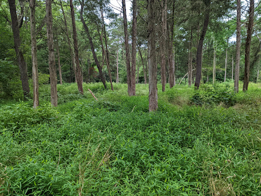 Park «Ellanor C. Lawrence Park», reviews and photos, 5040 Walney Rd, Chantilly, VA 20151, USA