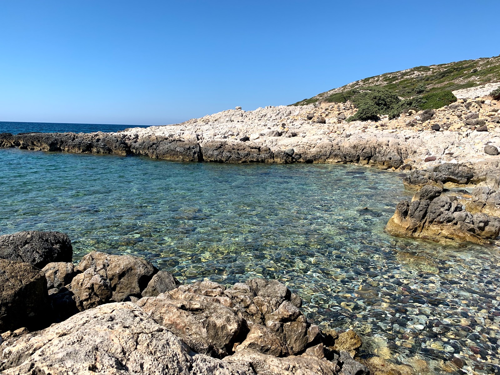 Zdjęcie Eukaryotes cove beach z powierzchnią teren skalisty