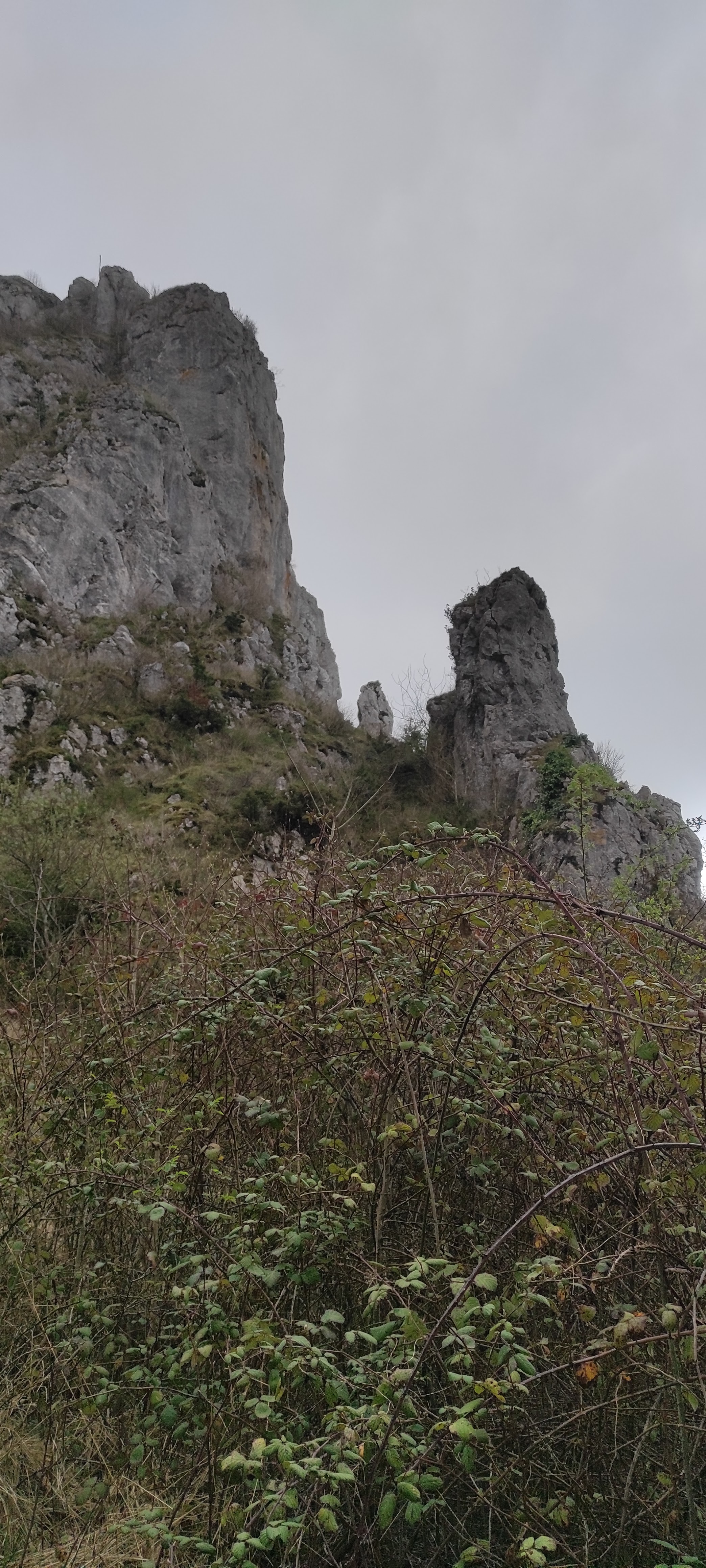 Photo n° 1 de l'avis de Kerm. fait le 03/04/2021 à 15:44