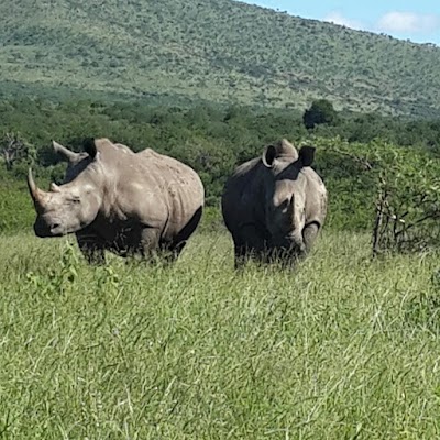 Photos of Somkhanda Game Reserve