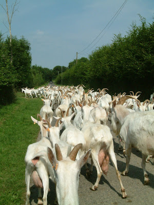 Le Cabrichou à Souleuvre en Bocage