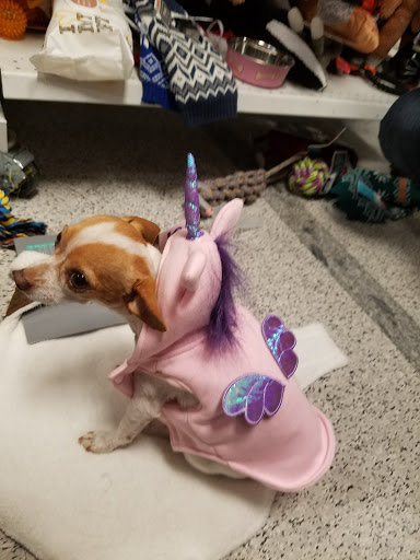 Clothing Store «Ross Dress for Less», reviews and photos, 1400 Lincoln Blvd, Venice, CA 90291, USA