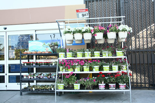 Discount Store «Walmart», reviews and photos, 25450 The Old Rd, Stevenson Ranch, CA 91381, USA