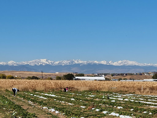 Produce Market «Berry Patch Farms», reviews and photos, 13785 Potomac St, Brighton, CO 80601, USA