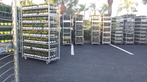 Golf Club «Royal Poinciana Golf Club», reviews and photos, 1600 Solana Rd, Naples, FL 34105, USA