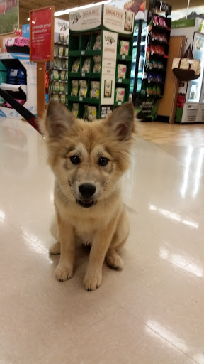 Pet Supply Store «Petco Animal Supplies», reviews and photos, 5631 Grove Blvd, Hoover, AL 35226, USA