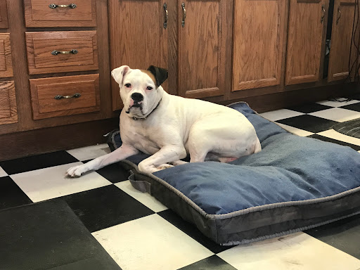 500 E Court Ave, Jeffersonville, IN 47130, USA