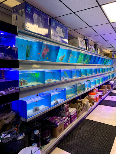Pet Supply Store «Aquariums and Reptiles», reviews and photos, 11400 S Cleveland Ave, Fort Myers, FL 33907, USA
