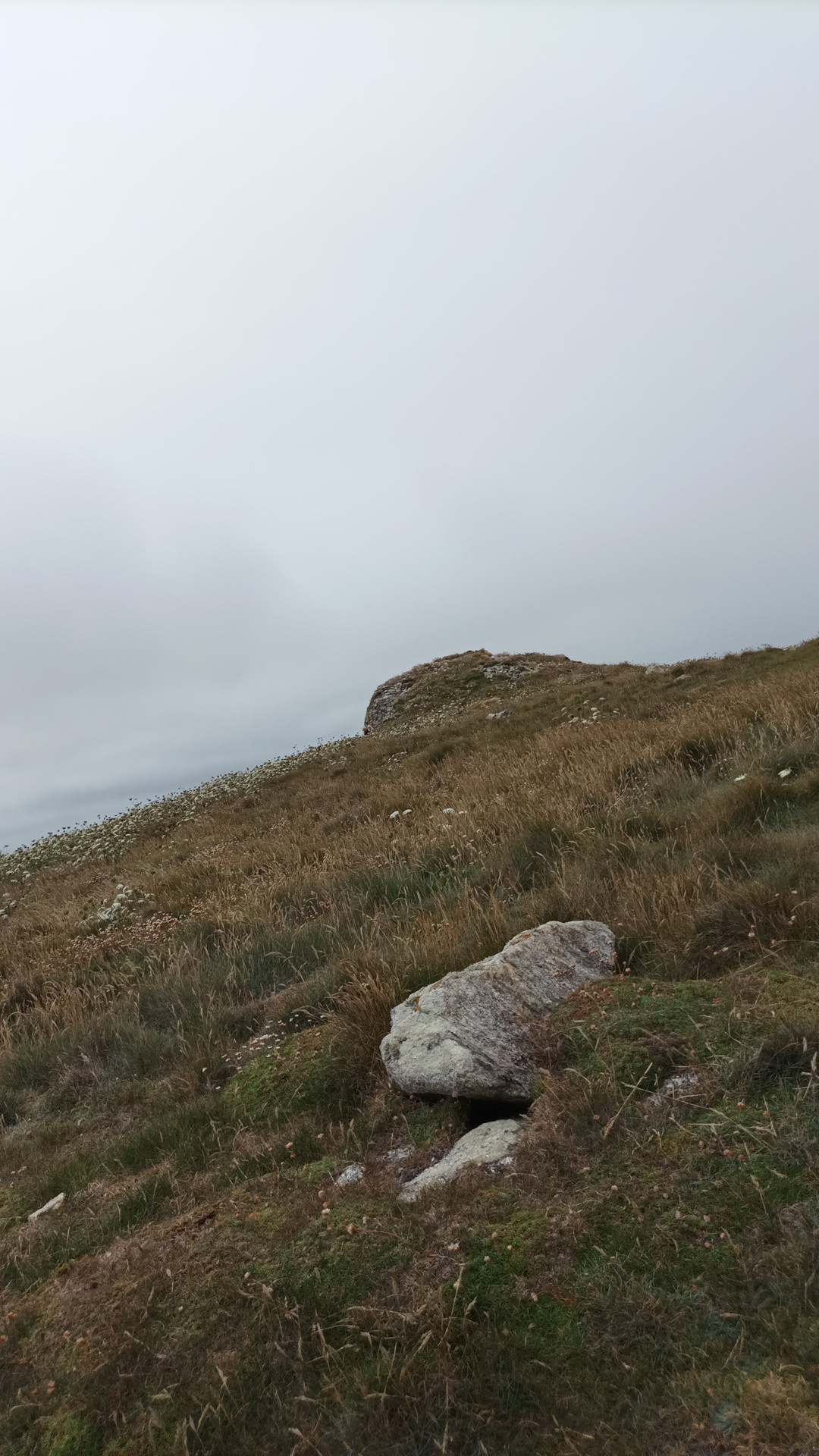 Photo n° 1 de l'avis de H.a fait le 30/07/2022 à 10:38