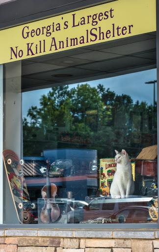 Thrift Store «FurKids Thrift Store», reviews and photos, 4015 Holcomb Bridge Rd #400, Norcross, GA 30092, USA