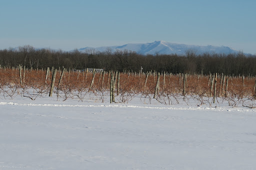 Winery «Snow Farm Vineyard & Winery», reviews and photos, 190 W Shore Rd, South Hero, VT 05486, USA