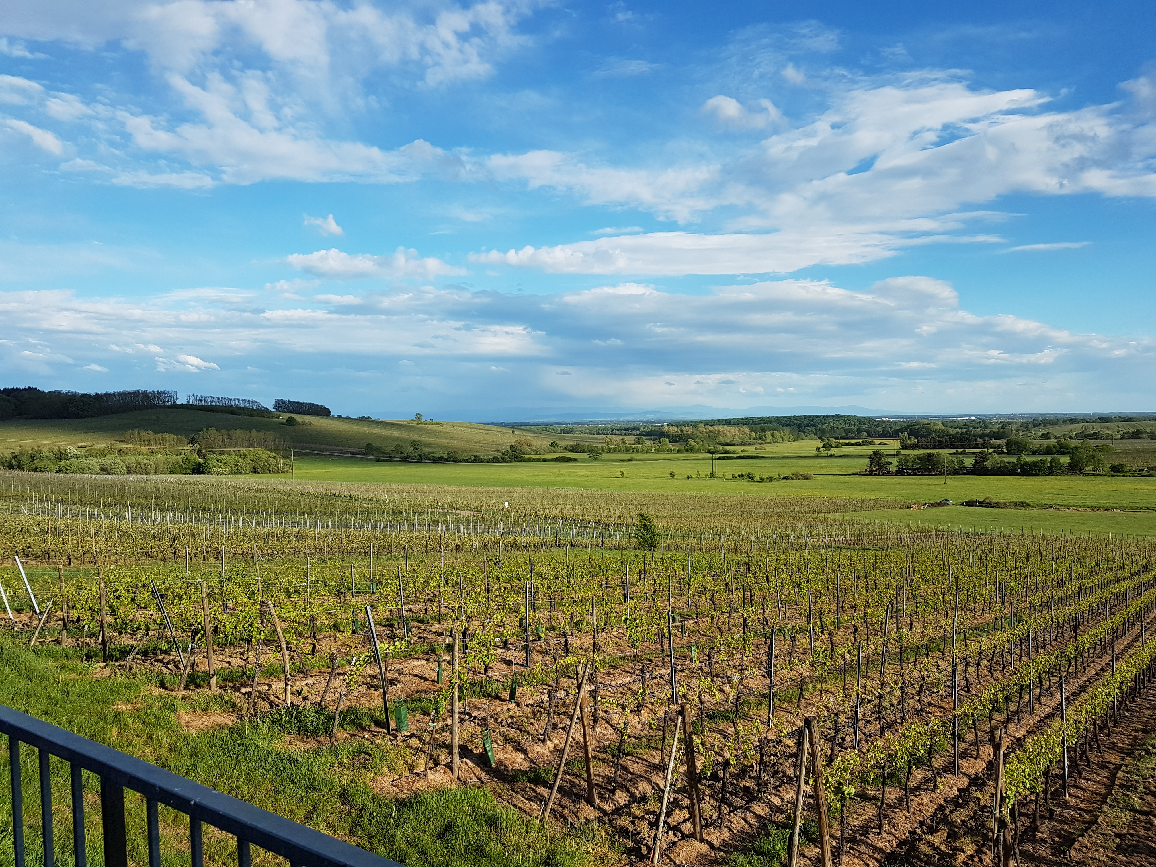 Photo n° 3 de l'avis de Manuel.a fait le 08/05/2018 à 21:10