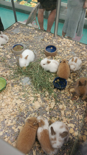 Shopping Mall «Iowa City Marketplace», reviews and photos, 1660 Sycamore St, Iowa City, IA 52240, USA