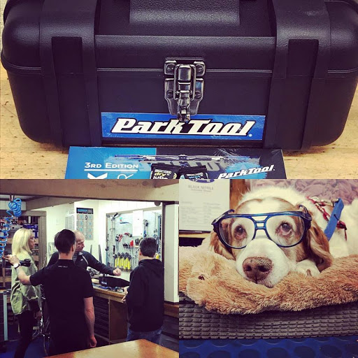 Bicycle Store «Towpath Bike», reviews and photos, 3 Schoen Pl, Pittsford, NY 14534, USA