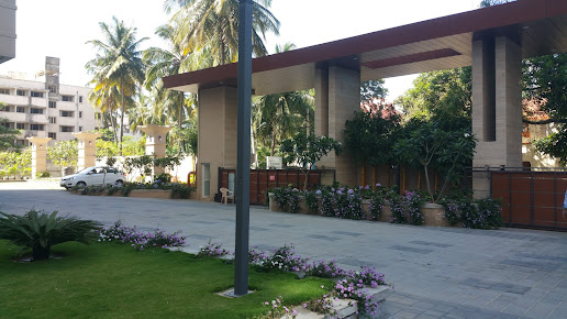 Google Maps image 13