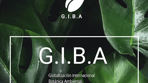 G.I.B.A.